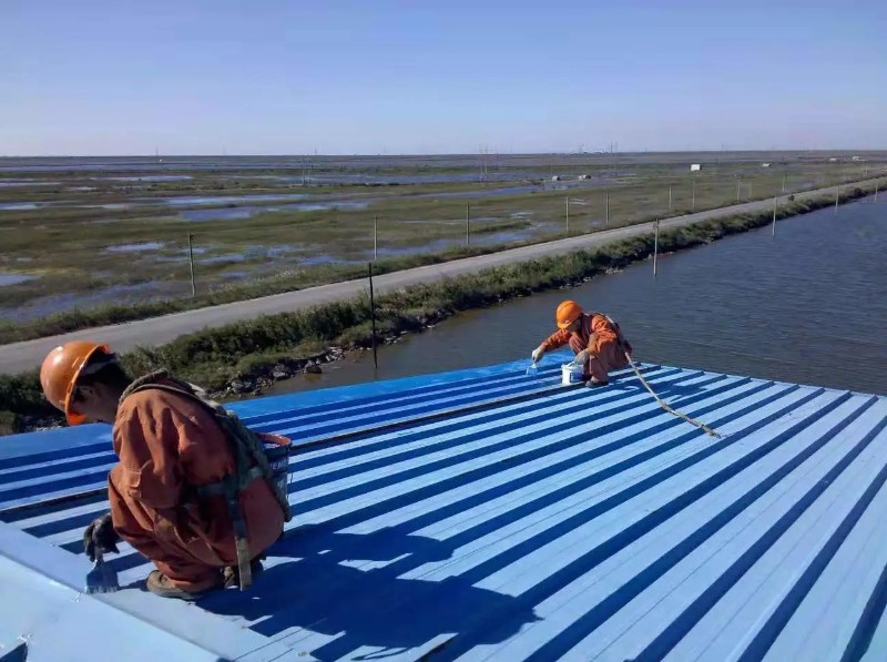 封丘钢结构屋面漏水原因